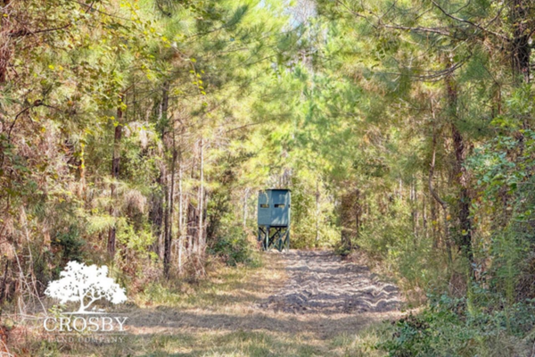 480.56 Acres for Sale in Bulloch County