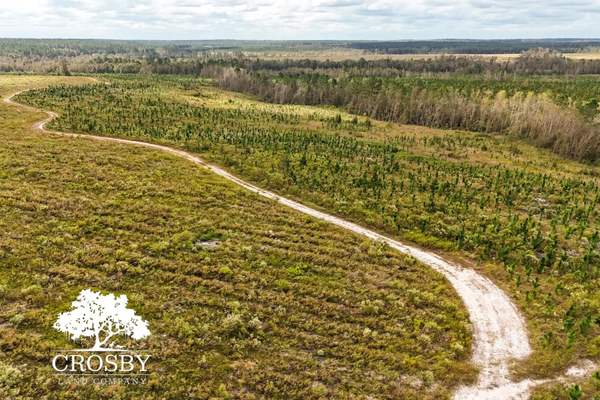 502.9 Acres For Sale in Wheeler County Georgia