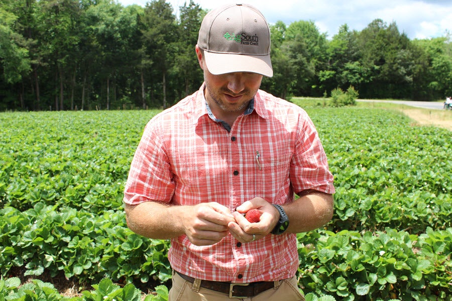 AgSouth supports North Carolina Farmers through Partnership.