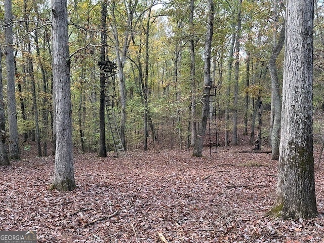 21.19 acre tract in Jasper County