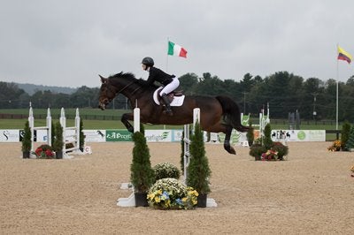 Female rider on a horse show jumping