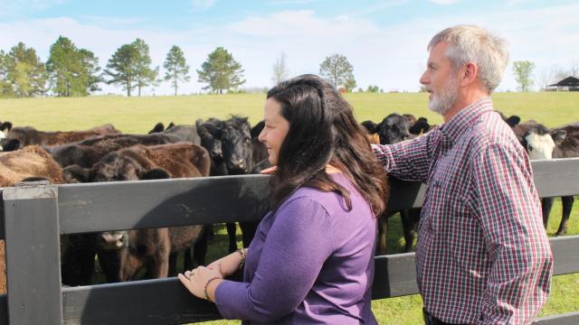 Mike and Donna Collins stand at a fence looking at a herd of cows