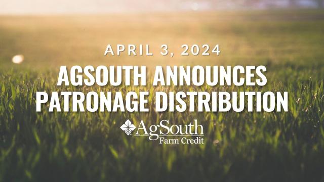 AgSouth Farm Credit CEO Vance Dalton has announced that the Association’s patronage will be an all-cash distribution of $56 million from AgSouth’s 2023 profits.  This distribution will arrive in members’ mailboxes or bank accounts during April.
