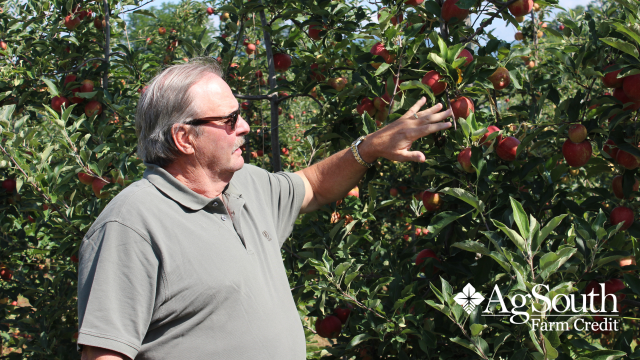 AgSouth Spotlight Kenny Barnwell. In addition to apple farming-Barnwell is passionate about farmland preservation, fruit grower advocacy, and community service. A Farm Credit customer for over 30 years, we are proud to celebrate Kenny Barnwell, and all he has done for the agricultural community.
