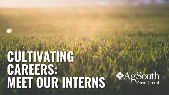 Meet the AgSouth Interns. AgSouth Farm Credit is a proud supporter of the agriculture industry of today and tomorrow. The growth and development of the future leaders of our industry is instrumental to the sustainability and innovation of agriculture.